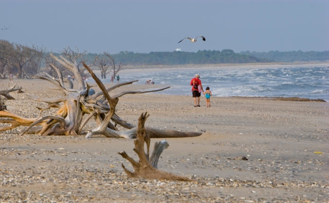 5 Perfect Days of Family, Food and Fun in South Carolina