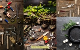 The Self-Reliance Manifesto: More Than 350 Resources to Guide You on the Path to Radical Freedom