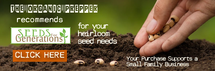 Learn Exactly How to Grow 25 Garden Favorites for Maximum Harvests