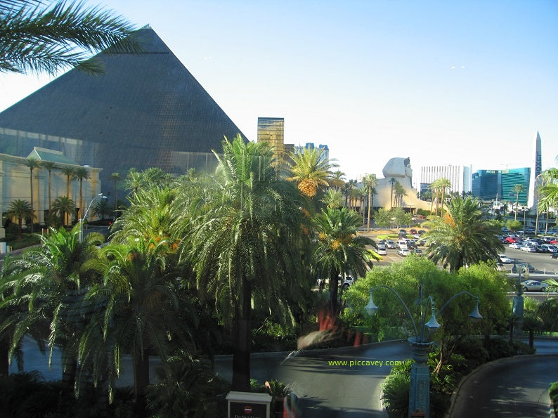 5 Irresistible Reasons to Visit Las Vegas
