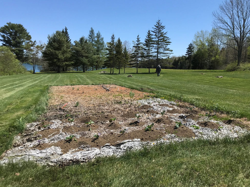 The New Garden Plot