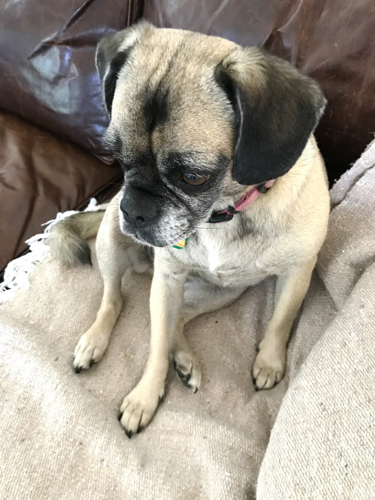 One Hundred Dollars a Month – Mavis’ Weekly Highlights 7/17/2021