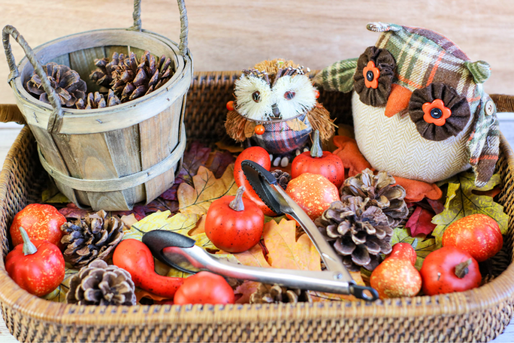 Pine Cone Thanksgiving Sensory Bin