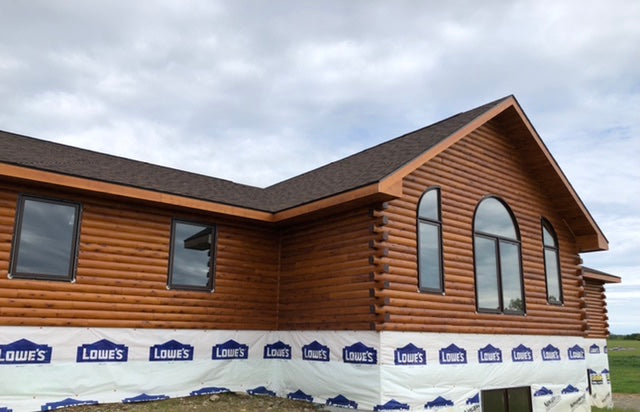 Cheeseburgers in Paradise