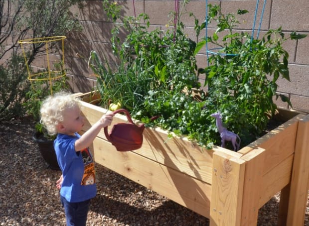 Gardening With Kids: DIY Raised Garden