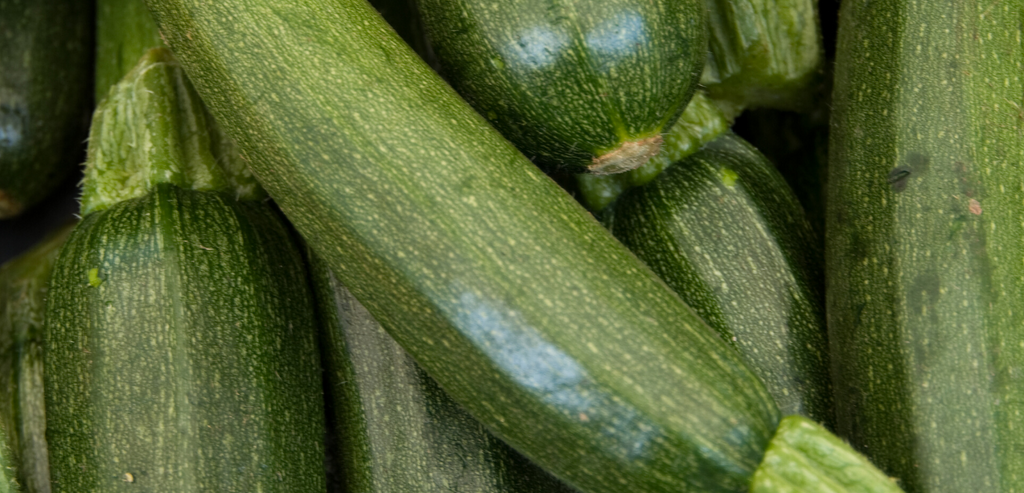 Zucchini Mock Apple Pie