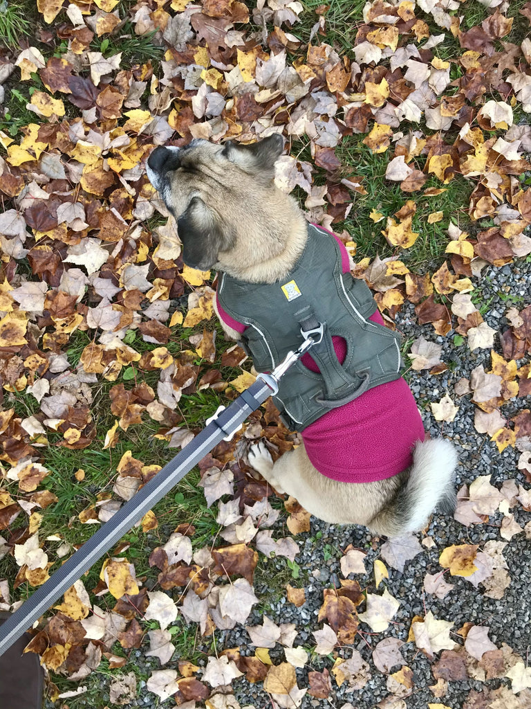 My Big List of Things I’m Going to Do in 2021 – Week 43 of 52