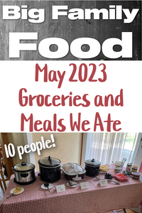 May 1- 17, 2023 Groceries and Meals We Ate (Big Family Food!)