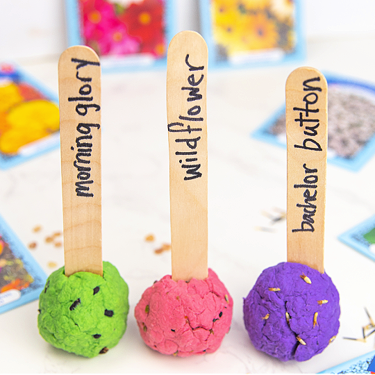 Kids Seed Bomb Activity – So fun for Spring and Summer!