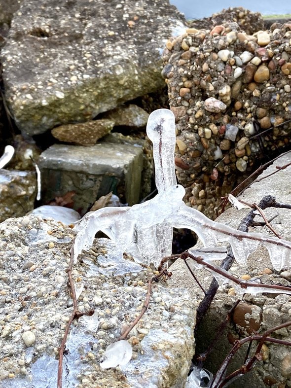 Thankful Thursday | a cold one!