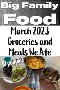 March 2023 Groceries and Meals We Ate (Big Family Food!)