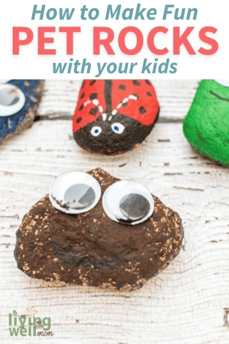 How To Make Painted Pet Rocks