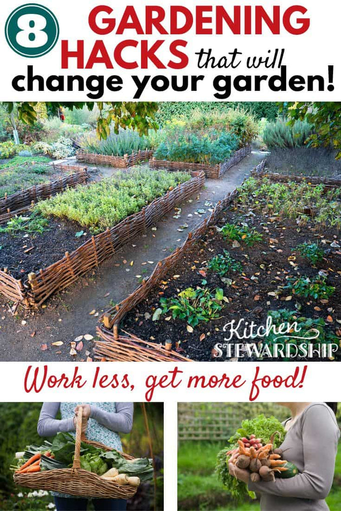 Lazy Gardening 101: 8 Tips to Grow Your Own Food with The Least Amount of Effort
