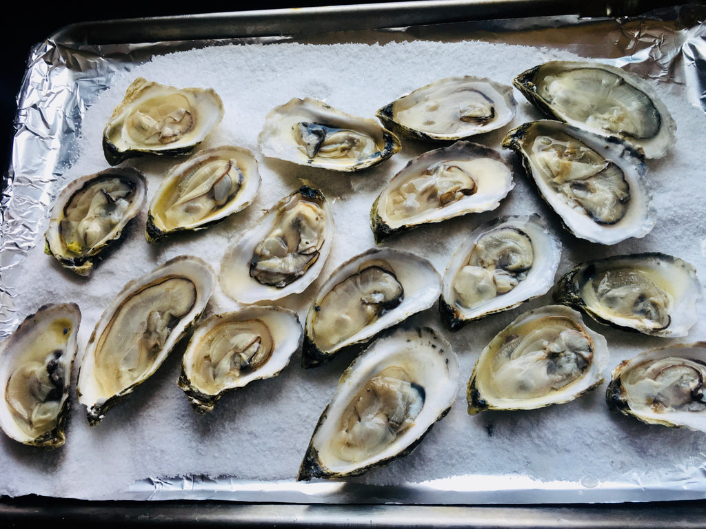 OYSTERS ROCK-A-FELLOW