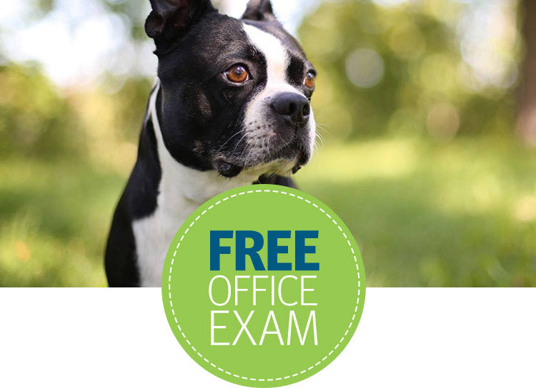 Thursday Freebies-Free Banfield Pet Hospital Office Visit & Consultation