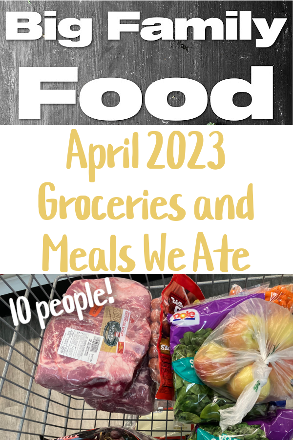 April 2023 Groceries and Meals We Ate (Big Family Food!)