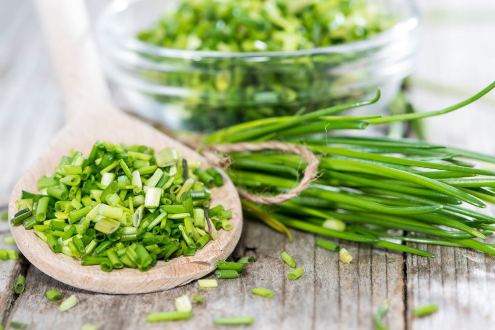 Substitute for Chives: 7 Fantastic Alternatives